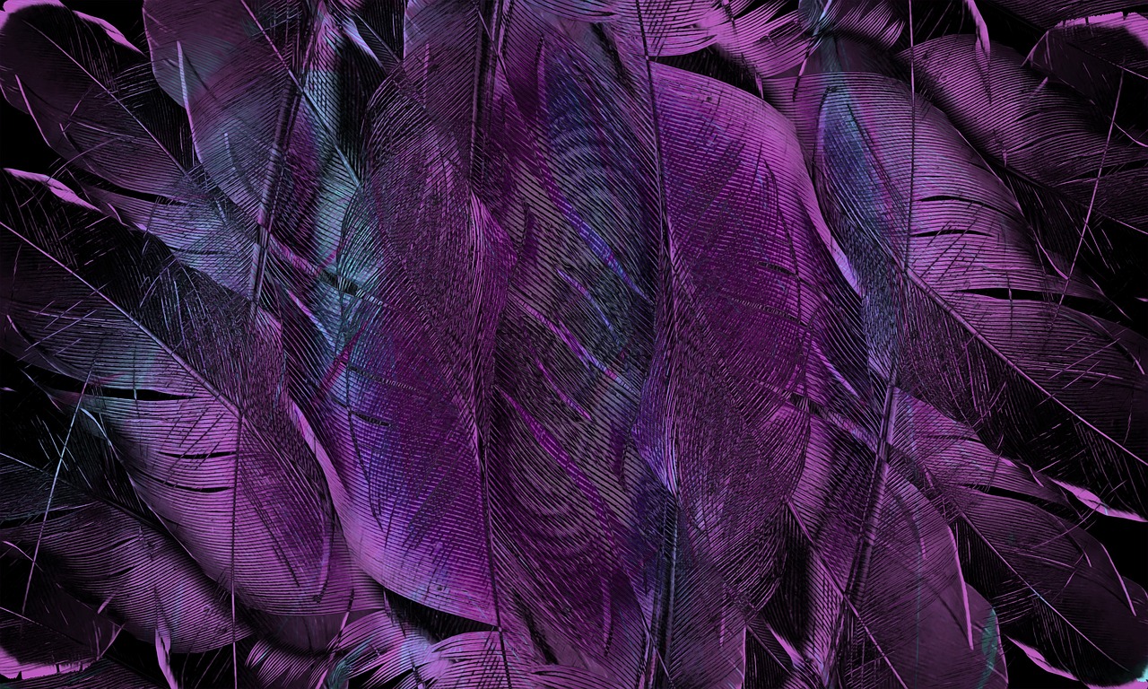 feather-4431599_1280